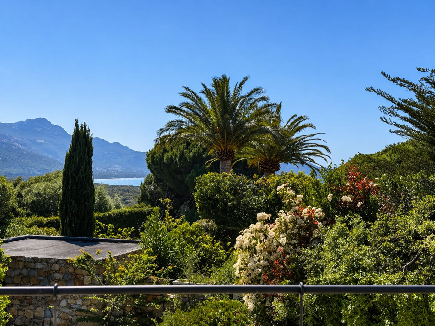 Garten mit Palme und Meerblick